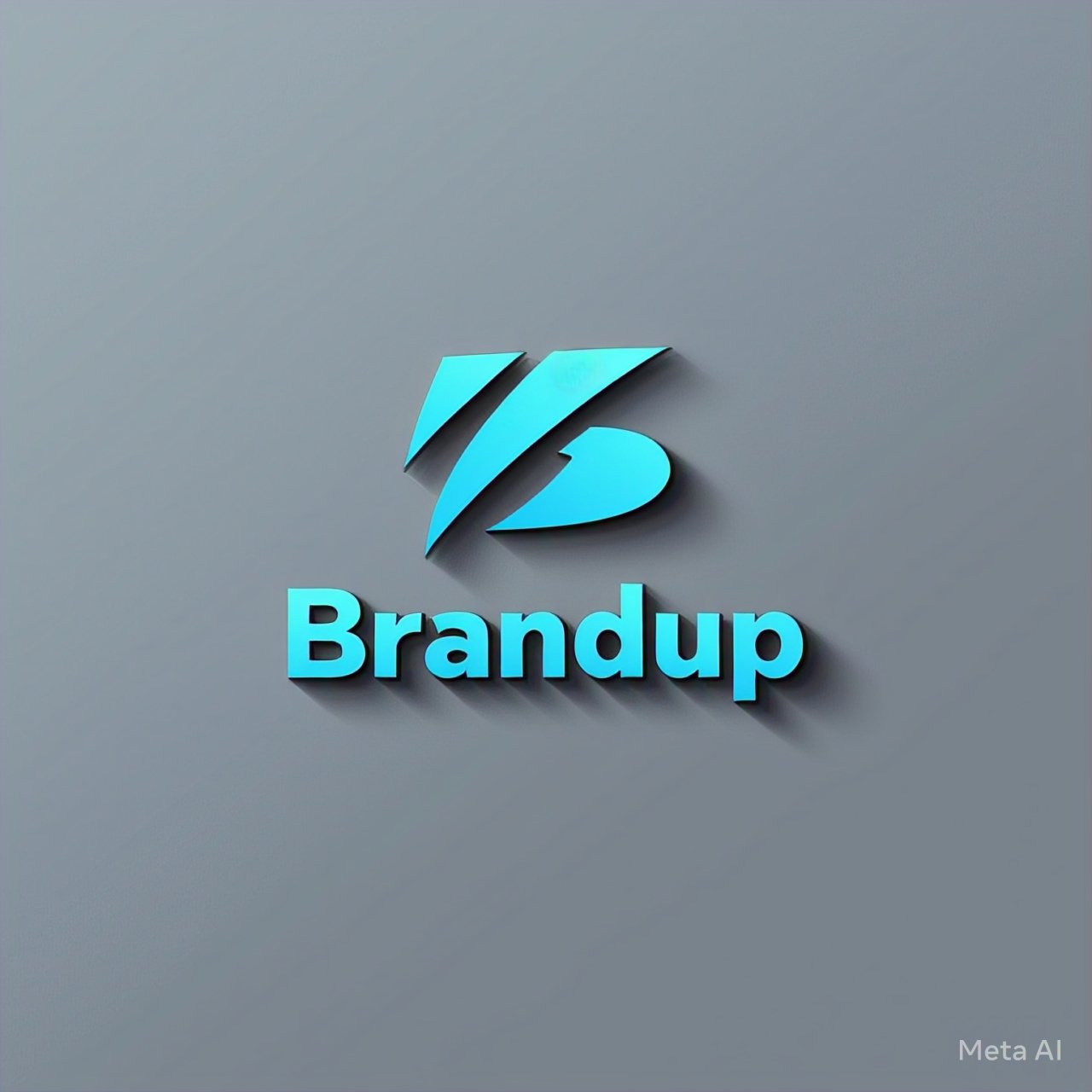 Brandup Enterprieses